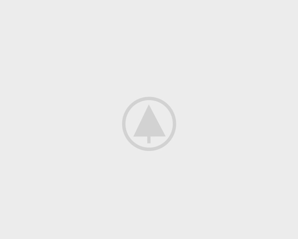 wood-gallery-placeholder-4  Images gallery wood gallery placeholder 4 pkt8gpkwvzmiucaaatvrs4z4btsges50hdmgzescow