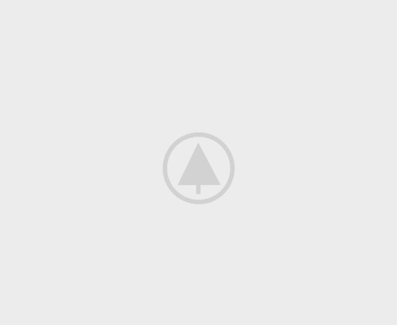 wood-portfolio-placeholder wood-portfolio-placeholder-pkt8gnp37zmduucewa0nfj6ptdg61qiotjsjbgzgrk wood-portfolio-placeholder-pkt8gnp37zmduucewa0nfj6ptdg61qiotjsjbgzgrk wood-portfolio-placeholder Home organic wood portfolio placeholder pkt8gnp37zmduucewa0nfj6ptdg61qiotjsjbgzgrk